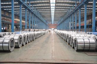 1200mm width Hot dipped Galvanized Steel Coil