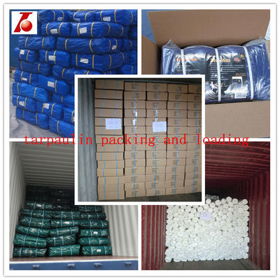 China Supplier Stretch Breathable Waterproof PE Tarpaulin Fabric Rubber Tarps Price